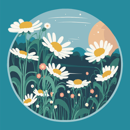 white chamomile flowers nature background illustration for invitation and greetings cardのイラスト素材