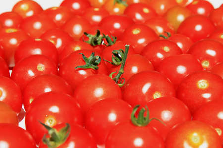 Red tomatoesの写真素材
