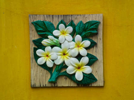 this is a wall have a yellow colourの写真素材