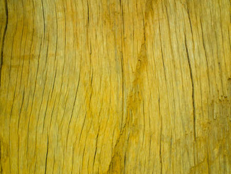 this is a texture of wood Itの写真素材