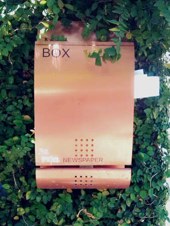 Postbox on the green leaf wall, its have a red color の素材