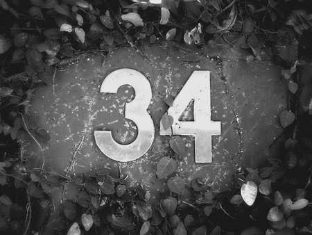 Number thirty-four on wall have a leaf around の素材