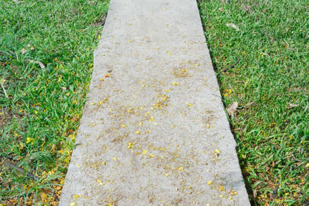 concrete way in garden have scrap on itの写真素材