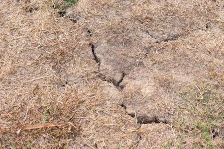 cracked soil dry earth texture,backgroundの写真素材