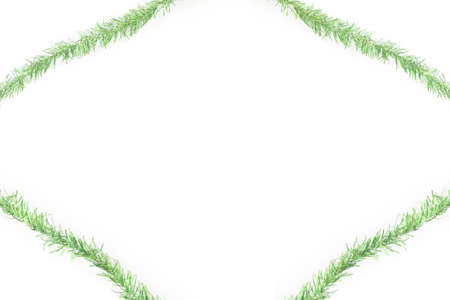 green tinsel frame on white backgroundの写真素材