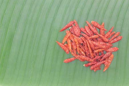red dried chilli on banana leaf textureの写真素材