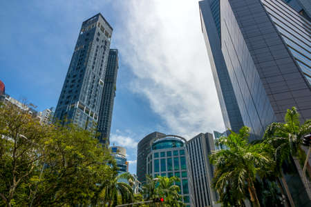 Singapore. Sunny day. High skyscrapers, palm and other treesの写真素材