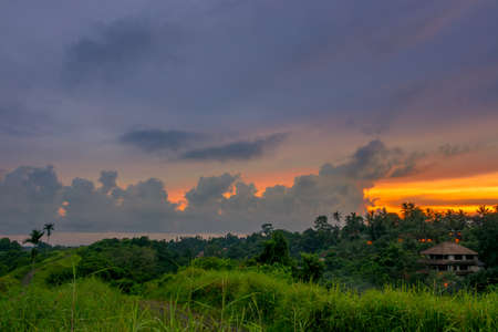 Indonesia. Rainforest and house at the evening. Beautiful clouds on the horizonの写真素材