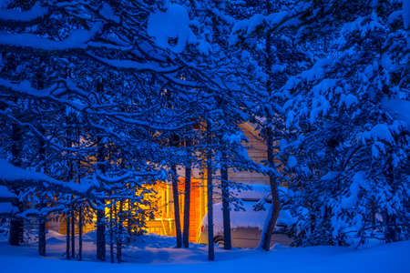 Thick winter forest. Evening. Among the snow-covered branches one can see a wooden cottage and a car