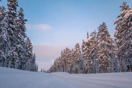 Finland. Evening winter forest. Empty road. A lot of snowの写真素材