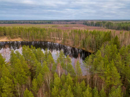 Autumn in the northern forest. Small lake among pines. Aerial viewの写真素材