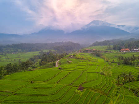 Indonesia. Bali Island. Evening over the rice terraces. Fog in the mountains after the rain. Aerial viewの写真素材