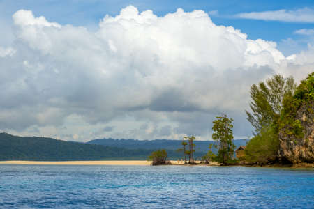Island in indonesia. Raja Ampat. Empty beach on the shore of a tropical island. A lonely hut is hiding behind the treesの写真素材