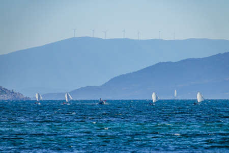 Summer bay on a sunny day. Mountainous shores. Several small sports yachts and a coach on a motor boatの写真素材