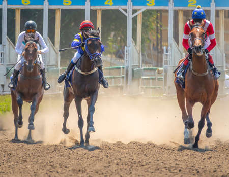 Summer day at the hippodrome. The three horsemen begin to race. Starting gate and dust from under the hoovesの写真素材