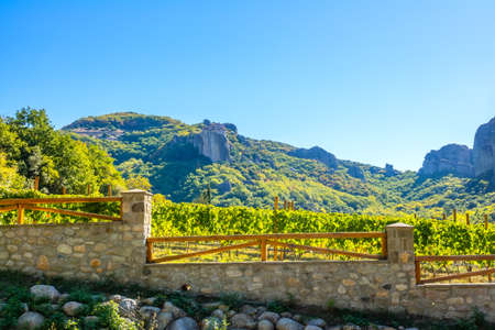Greece. Sunny day in Kalambaka. Vineyard and rock monastery against the backdrop of mountainsの写真素材