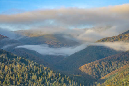 Sunny day in summer Ukrainian Carpathians. Light mist between wooded mountains. The first rays of the sun illuminate the mountain peaksの写真素材