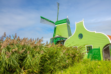 Netherlands. Summer day in Zaanse Schans. Green Dutch windmill and green grassの写真素材