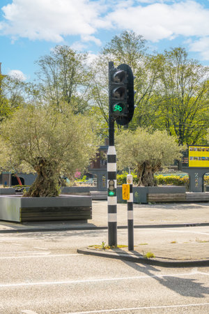 Netherlands. Sunny summer day in Amsterdam. Bicycle traffic light at the crossroadsの写真素材