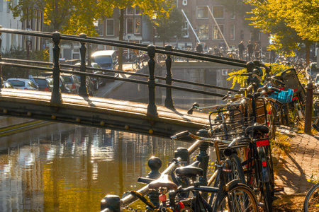 Netherlands. Sunny autumn morning on the Amsterdam canal. Pedestrian bridge and yellow foliage. Many bicycles parked near the fenceの写真素材