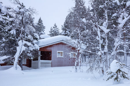 Winter Finland. Snowfall in a dense forest and a lot of snow on the ground and tree branches. A small snow-covered cottageの写真素材