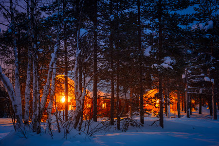 Night forest in Finnish Lapland in winter. Lots of snow on the ground and tree branches. Log houses...