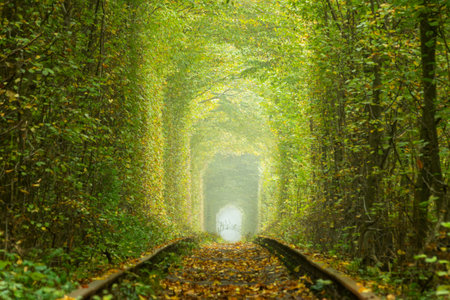Sunny summer day in Rivne region of Ukraine. Tunnel of love in Klevan. Deciduous forest and old railway tracksの写真素材