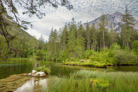 Summer Austria. Forest lake in the foothills of the rocky mountains. Wooden bench on the shore for relaxationの写真素材
