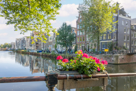 Netherlands. Sunny day on the Amsterdam canal. Typical Dutch buildings on the waterfront. Bright flowers in the foregroundの写真素材