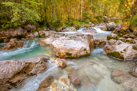 Forest river on a sunny summer day. Water churns between large boulders