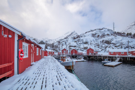 Norway. Several fishing boats in a small marina in Lofoten. The first snow fell overnight, covering the boats and red housesの写真素材