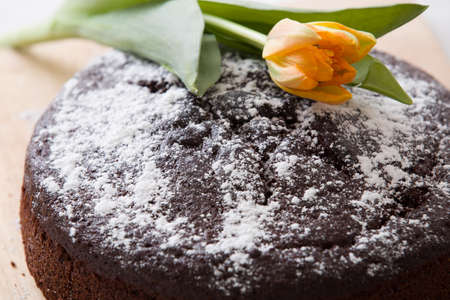Homemade fresh chocolate birthday cake with white sugar powder on the top and a spring light orange...