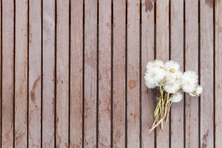 Small bunch of dandelions on a wooden table. Summer flowers outdoors.の写真素材