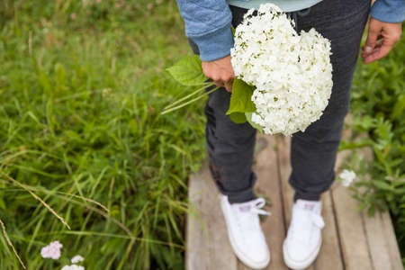 Close-up of woman's hand holding beautiful white hydrangea flower. View from top. Garden flower in girl's hands.の写真素材