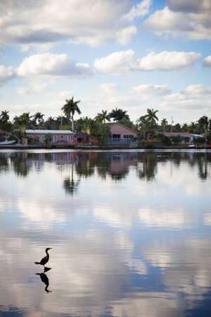 A small bird and a beautiful view on the lake. Cloudy day and idyllic cloudscape.