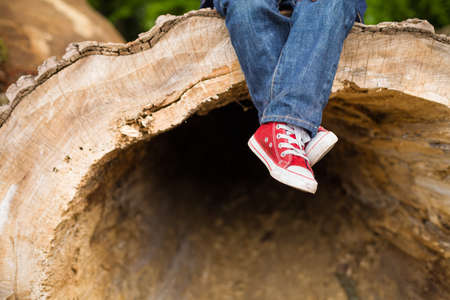 Legs and feet of a small kid boy. Red sneakers and blue jeans. Child sitting on a huge cut tree outdoor. Big cut tree and a boy on it.の写真素材