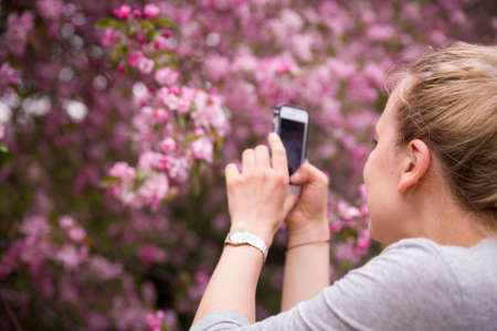 Portrait of a young smiling woman taking picture  of an apple trees' flowers by her smartphone. Girl and blooming apple tree. Spring time with trees flowers. photo on phone. Outdoors.の写真素材