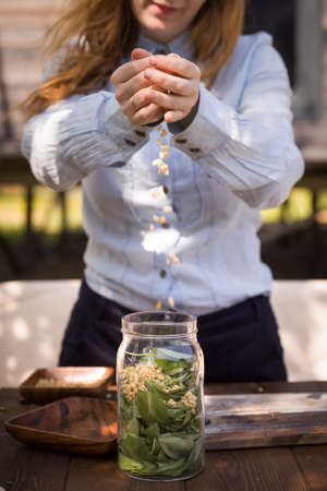 Closeup of woman's hands making home pesto sauce for pasta from basil, garlic, pine nuts and olive oil outdoors. Beatiful girl cooking in her garden on a sunny summer day. Selective focus.の写真素材