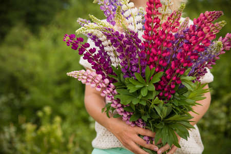 Back view on young girl holding a bunch of beautiful lupine flowers. Purple and pink lupin bouquet. Womanl with bouquet of wild  lupin flowers on sunny summer field.の写真素材