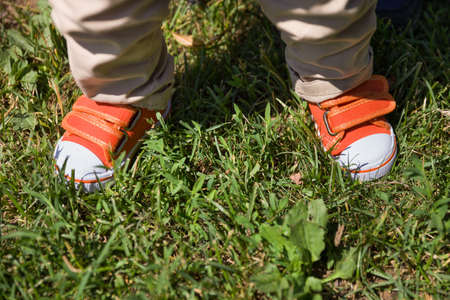 Toddler's legs in orange sneakers standing on grass. Top view on baby's feet. Summer background. outdoors. Child making first stepsの写真素材