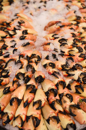 Many Crayfish Claws in the rows on the ice in the mall. Fish department of a grocery store.の写真素材