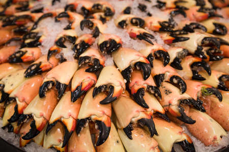Many Crayfish Claws in the rows on the ice in the mall. Fish department of a grocery store.の写真素材