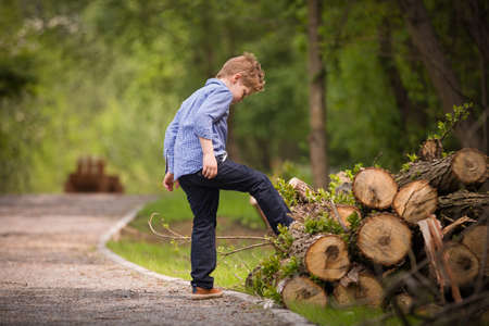 Cute kid boy walking in the park and playing with cut trees. Child outdoors. Active children. Lifestyle concept.の写真素材