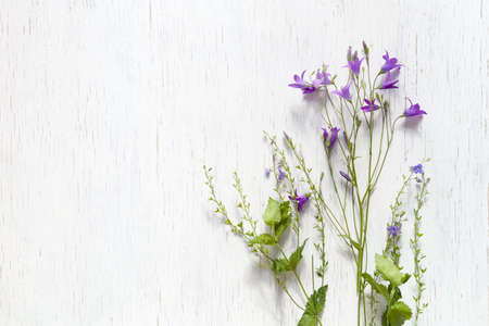 Top view on beautiful wild flowers on white wooden background.  Summer flowers, leaves and petals. ...