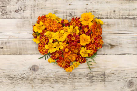 Top view on Marigolds (Tagetes erecta, Mexican marigold, Aztec marigold, African marigold) in a shape of heart on vintage wooden background.の写真素材