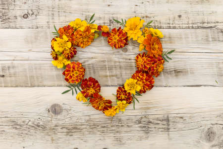 Top view on Marigolds (Tagetes erecta, Mexican marigold, Aztec marigold, African marigold) in a shape of heart on vintage wooden background..の写真素材