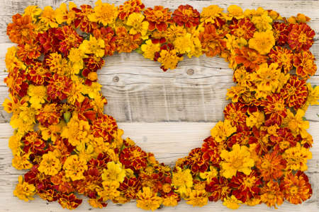 Top view on heart made of many Marigolds (Tagetes erecta, Mexican marigold, Aztec marigold, African marigold) on vintage wooden background.の写真素材