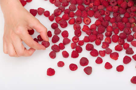Top view on woman's hand picking fresh organic raspberries from white table. Summer berries on white...