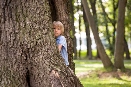 Portrait of cute little kid boy looking out of the huge old tree in the park on a sunny summer day. Child walking in forest. Lifestyle conceptの写真素材
