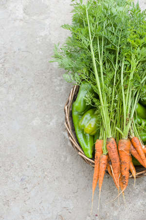 Top view on basket full of fresh organic vegetables: paprika, carrots on concrete background. Healthy food and gardening concept.の写真素材